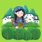 茶园拾光