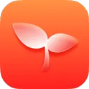 燃草官方正版