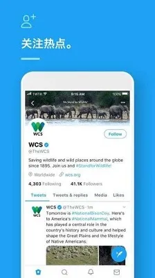 推特twitter安卓版