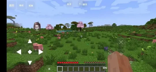 我的世界真实版